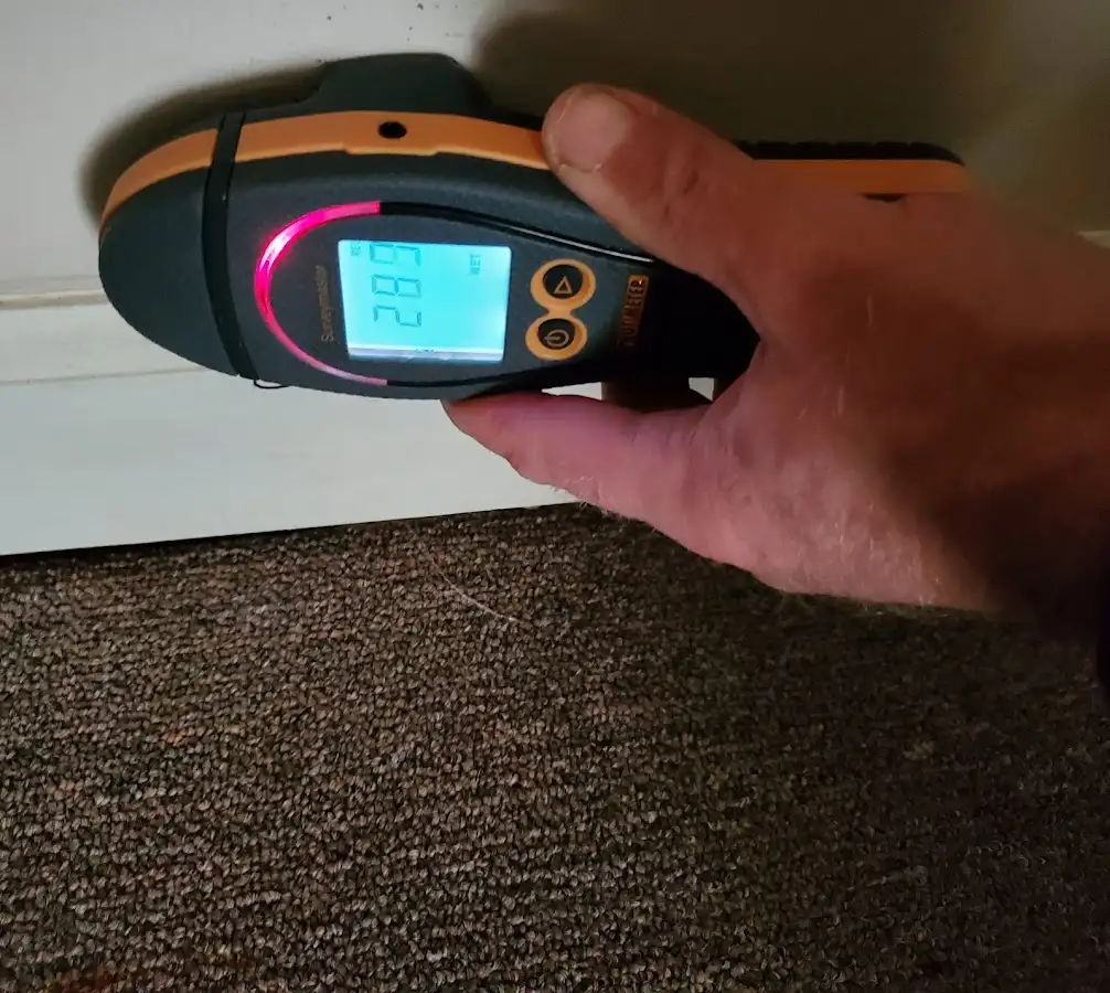 Moisture detection at baseboard during Sewage Cleanup & Sanitation in Southampton